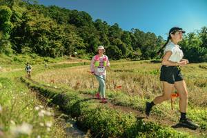 BIB: 
                            <button type="button" onclick="openModal(26702527)" class="btn btn-primary btn-sm float-right btn-popup" data-toggle="modal" data-target=".modal-high-quality">
                        <i class="fas fa-shopping-cart"></i> Add to Cart
                    </button>
                                            <button type="button" onclick="isThisMe(26702527, true)" class="btn btn-success btn-sm float-right btn-popup btn-isme hidden" data-toggle="tooltip" data-placement="bottom" title="นี่คือรูปของคุณใช่ไหม คลิกที่นี่เพื่อเอาเข้าอัลบั้ม">
                        <i class="fas fa-plus"></i> Add to album
                    </button>
                    <button type="button" onclick="isThisMe(26702527, false)" class="btn btn-warning btn-sm float-right btn-popup btn-isnotme hidden">
                        <i class="fas fa-ban"></i> Remove from album
                    </button>