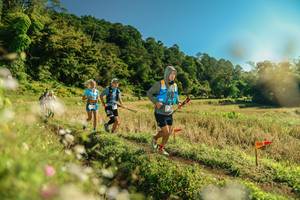 BIB: 
                            <button type="button" onclick="openModal(26670697)" class="btn btn-primary btn-sm float-right btn-popup" data-toggle="modal" data-target=".modal-high-quality">
                        <i class="fas fa-shopping-cart"></i> Add to Cart
                    </button>
                                            <button type="button" onclick="isThisMe(26670697, true)" class="btn btn-success btn-sm float-right btn-popup btn-isme hidden" data-toggle="tooltip" data-placement="bottom" title="นี่คือรูปของคุณใช่ไหม คลิกที่นี่เพื่อเอาเข้าอัลบั้ม">
                        <i class="fas fa-plus"></i> Add to album
                    </button>
                    <button type="button" onclick="isThisMe(26670697, false)" class="btn btn-warning btn-sm float-right btn-popup btn-isnotme hidden">
                        <i class="fas fa-ban"></i> Remove from album
                    </button>