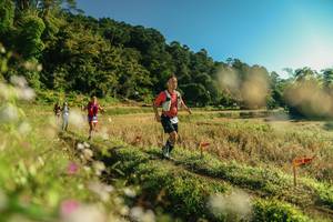 BIB: 
                            <button type="button" onclick="openModal(26636034)" class="btn btn-primary btn-sm float-right btn-popup" data-toggle="modal" data-target=".modal-high-quality">
                        <i class="fas fa-shopping-cart"></i> Add to Cart
                    </button>
                                            <button type="button" onclick="isThisMe(26636034, true)" class="btn btn-success btn-sm float-right btn-popup btn-isme hidden" data-toggle="tooltip" data-placement="bottom" title="นี่คือรูปของคุณใช่ไหม คลิกที่นี่เพื่อเอาเข้าอัลบั้ม">
                        <i class="fas fa-plus"></i> Add to album
                    </button>
                    <button type="button" onclick="isThisMe(26636034, false)" class="btn btn-warning btn-sm float-right btn-popup btn-isnotme hidden">
                        <i class="fas fa-ban"></i> Remove from album
                    </button>