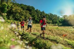 BIB: 
                            <button type="button" onclick="openModal(26637916)" class="btn btn-primary btn-sm float-right btn-popup" data-toggle="modal" data-target=".modal-high-quality">
                        <i class="fas fa-shopping-cart"></i> Add to Cart
                    </button>
                                            <button type="button" onclick="isThisMe(26637916, true)" class="btn btn-success btn-sm float-right btn-popup btn-isme hidden" data-toggle="tooltip" data-placement="bottom" title="นี่คือรูปของคุณใช่ไหม คลิกที่นี่เพื่อเอาเข้าอัลบั้ม">
                        <i class="fas fa-plus"></i> Add to album
                    </button>
                    <button type="button" onclick="isThisMe(26637916, false)" class="btn btn-warning btn-sm float-right btn-popup btn-isnotme hidden">
                        <i class="fas fa-ban"></i> Remove from album
                    </button>