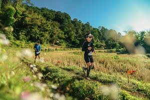 BIB: 
                            <button type="button" onclick="openModal(26637139)" class="btn btn-primary btn-sm float-right btn-popup" data-toggle="modal" data-target=".modal-high-quality">
                        <i class="fas fa-shopping-cart"></i> Add to Cart
                    </button>
                                            <button type="button" onclick="isThisMe(26637139, true)" class="btn btn-success btn-sm float-right btn-popup btn-isme hidden" data-toggle="tooltip" data-placement="bottom" title="นี่คือรูปของคุณใช่ไหม คลิกที่นี่เพื่อเอาเข้าอัลบั้ม">
                        <i class="fas fa-plus"></i> Add to album
                    </button>
                    <button type="button" onclick="isThisMe(26637139, false)" class="btn btn-warning btn-sm float-right btn-popup btn-isnotme hidden">
                        <i class="fas fa-ban"></i> Remove from album
                    </button>