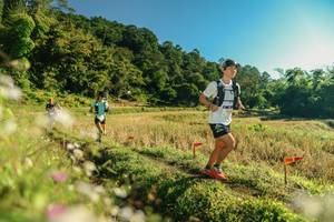 BIB: 
                            <button type="button" onclick="openModal(26637406)" class="btn btn-primary btn-sm float-right btn-popup" data-toggle="modal" data-target=".modal-high-quality">
                        <i class="fas fa-shopping-cart"></i> Add to Cart
                    </button>
                                            <button type="button" onclick="isThisMe(26637406, true)" class="btn btn-success btn-sm float-right btn-popup btn-isme hidden" data-toggle="tooltip" data-placement="bottom" title="นี่คือรูปของคุณใช่ไหม คลิกที่นี่เพื่อเอาเข้าอัลบั้ม">
                        <i class="fas fa-plus"></i> Add to album
                    </button>
                    <button type="button" onclick="isThisMe(26637406, false)" class="btn btn-warning btn-sm float-right btn-popup btn-isnotme hidden">
                        <i class="fas fa-ban"></i> Remove from album
                    </button>