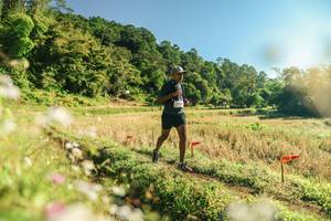 BIB: 
                            <button type="button" onclick="openModal(26637813)" class="btn btn-primary btn-sm float-right btn-popup" data-toggle="modal" data-target=".modal-high-quality">
                        <i class="fas fa-shopping-cart"></i> Add to Cart
                    </button>
                                            <button type="button" onclick="isThisMe(26637813, true)" class="btn btn-success btn-sm float-right btn-popup btn-isme hidden" data-toggle="tooltip" data-placement="bottom" title="นี่คือรูปของคุณใช่ไหม คลิกที่นี่เพื่อเอาเข้าอัลบั้ม">
                        <i class="fas fa-plus"></i> Add to album
                    </button>
                    <button type="button" onclick="isThisMe(26637813, false)" class="btn btn-warning btn-sm float-right btn-popup btn-isnotme hidden">
                        <i class="fas fa-ban"></i> Remove from album
                    </button>