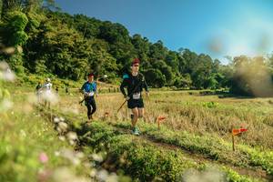 BIB: 
                            <button type="button" onclick="openModal(26679707)" class="btn btn-primary btn-sm float-right btn-popup" data-toggle="modal" data-target=".modal-high-quality">
                        <i class="fas fa-shopping-cart"></i> Add to Cart
                    </button>
                                            <button type="button" onclick="isThisMe(26679707, true)" class="btn btn-success btn-sm float-right btn-popup btn-isme hidden" data-toggle="tooltip" data-placement="bottom" title="นี่คือรูปของคุณใช่ไหม คลิกที่นี่เพื่อเอาเข้าอัลบั้ม">
                        <i class="fas fa-plus"></i> Add to album
                    </button>
                    <button type="button" onclick="isThisMe(26679707, false)" class="btn btn-warning btn-sm float-right btn-popup btn-isnotme hidden">
                        <i class="fas fa-ban"></i> Remove from album
                    </button>