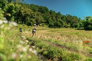 BIB: 
                            <button type="button" onclick="openModal(26734655)" class="btn btn-primary btn-sm float-right btn-popup" data-toggle="modal" data-target=".modal-high-quality">
                        <i class="fas fa-shopping-cart"></i> Add to Cart
                    </button>
                                            <button type="button" onclick="isThisMe(26734655, true)" class="btn btn-success btn-sm float-right btn-popup btn-isme hidden" data-toggle="tooltip" data-placement="bottom" title="นี่คือรูปของคุณใช่ไหม คลิกที่นี่เพื่อเอาเข้าอัลบั้ม">
                        <i class="fas fa-plus"></i> Add to album
                    </button>
                    <button type="button" onclick="isThisMe(26734655, false)" class="btn btn-warning btn-sm float-right btn-popup btn-isnotme hidden">
                        <i class="fas fa-ban"></i> Remove from album
                    </button>