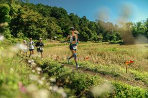 BIB: 
                            <button type="button" onclick="openModal(26697889)" class="btn btn-primary btn-sm float-right btn-popup" data-toggle="modal" data-target=".modal-high-quality">
                        <i class="fas fa-shopping-cart"></i> Add to Cart
                    </button>
                                            <button type="button" onclick="isThisMe(26697889, true)" class="btn btn-success btn-sm float-right btn-popup btn-isme hidden" data-toggle="tooltip" data-placement="bottom" title="นี่คือรูปของคุณใช่ไหม คลิกที่นี่เพื่อเอาเข้าอัลบั้ม">
                        <i class="fas fa-plus"></i> Add to album
                    </button>
                    <button type="button" onclick="isThisMe(26697889, false)" class="btn btn-warning btn-sm float-right btn-popup btn-isnotme hidden">
                        <i class="fas fa-ban"></i> Remove from album
                    </button>