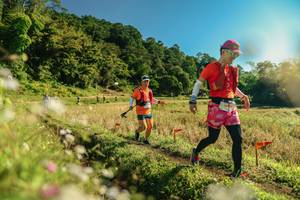 BIB: 
                            <button type="button" onclick="openModal(26638535)" class="btn btn-primary btn-sm float-right btn-popup" data-toggle="modal" data-target=".modal-high-quality">
                        <i class="fas fa-shopping-cart"></i> Add to Cart
                    </button>
                                            <button type="button" onclick="isThisMe(26638535, true)" class="btn btn-success btn-sm float-right btn-popup btn-isme hidden" data-toggle="tooltip" data-placement="bottom" title="นี่คือรูปของคุณใช่ไหม คลิกที่นี่เพื่อเอาเข้าอัลบั้ม">
                        <i class="fas fa-plus"></i> Add to album
                    </button>
                    <button type="button" onclick="isThisMe(26638535, false)" class="btn btn-warning btn-sm float-right btn-popup btn-isnotme hidden">
                        <i class="fas fa-ban"></i> Remove from album
                    </button>