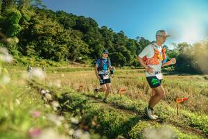 BIB: 
                            <button type="button" onclick="openModal(26637980)" class="btn btn-primary btn-sm float-right btn-popup" data-toggle="modal" data-target=".modal-high-quality">
                        <i class="fas fa-shopping-cart"></i> Add to Cart
                    </button>
                                            <button type="button" onclick="isThisMe(26637980, true)" class="btn btn-success btn-sm float-right btn-popup btn-isme hidden" data-toggle="tooltip" data-placement="bottom" title="นี่คือรูปของคุณใช่ไหม คลิกที่นี่เพื่อเอาเข้าอัลบั้ม">
                        <i class="fas fa-plus"></i> Add to album
                    </button>
                    <button type="button" onclick="isThisMe(26637980, false)" class="btn btn-warning btn-sm float-right btn-popup btn-isnotme hidden">
                        <i class="fas fa-ban"></i> Remove from album
                    </button>