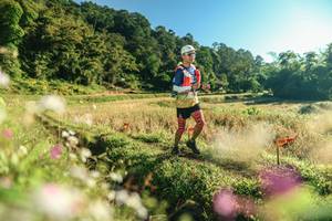 BIB: 
                            <button type="button" onclick="openModal(26634159)" class="btn btn-primary btn-sm float-right btn-popup" data-toggle="modal" data-target=".modal-high-quality">
                        <i class="fas fa-shopping-cart"></i> Add to Cart
                    </button>
                                            <button type="button" onclick="isThisMe(26634159, true)" class="btn btn-success btn-sm float-right btn-popup btn-isme hidden" data-toggle="tooltip" data-placement="bottom" title="นี่คือรูปของคุณใช่ไหม คลิกที่นี่เพื่อเอาเข้าอัลบั้ม">
                        <i class="fas fa-plus"></i> Add to album
                    </button>
                    <button type="button" onclick="isThisMe(26634159, false)" class="btn btn-warning btn-sm float-right btn-popup btn-isnotme hidden">
                        <i class="fas fa-ban"></i> Remove from album
                    </button>