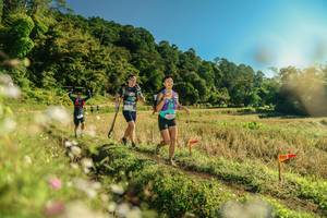 BIB: 
                            <button type="button" onclick="openModal(26638705)" class="btn btn-primary btn-sm float-right btn-popup" data-toggle="modal" data-target=".modal-high-quality">
                        <i class="fas fa-shopping-cart"></i> Add to Cart
                    </button>
                                            <button type="button" onclick="isThisMe(26638705, true)" class="btn btn-success btn-sm float-right btn-popup btn-isme hidden" data-toggle="tooltip" data-placement="bottom" title="นี่คือรูปของคุณใช่ไหม คลิกที่นี่เพื่อเอาเข้าอัลบั้ม">
                        <i class="fas fa-plus"></i> Add to album
                    </button>
                    <button type="button" onclick="isThisMe(26638705, false)" class="btn btn-warning btn-sm float-right btn-popup btn-isnotme hidden">
                        <i class="fas fa-ban"></i> Remove from album
                    </button>