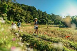 BIB: 
                            <button type="button" onclick="openModal(26636533)" class="btn btn-primary btn-sm float-right btn-popup" data-toggle="modal" data-target=".modal-high-quality">
                        <i class="fas fa-shopping-cart"></i> Add to Cart
                    </button>
                                            <button type="button" onclick="isThisMe(26636533, true)" class="btn btn-success btn-sm float-right btn-popup btn-isme hidden" data-toggle="tooltip" data-placement="bottom" title="นี่คือรูปของคุณใช่ไหม คลิกที่นี่เพื่อเอาเข้าอัลบั้ม">
                        <i class="fas fa-plus"></i> Add to album
                    </button>
                    <button type="button" onclick="isThisMe(26636533, false)" class="btn btn-warning btn-sm float-right btn-popup btn-isnotme hidden">
                        <i class="fas fa-ban"></i> Remove from album
                    </button>