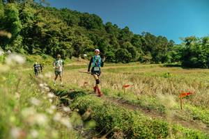 BIB: 
                            <button type="button" onclick="openModal(26728470)" class="btn btn-primary btn-sm float-right btn-popup" data-toggle="modal" data-target=".modal-high-quality">
                        <i class="fas fa-shopping-cart"></i> Add to Cart
                    </button>
                                            <button type="button" onclick="isThisMe(26728470, true)" class="btn btn-success btn-sm float-right btn-popup btn-isme hidden" data-toggle="tooltip" data-placement="bottom" title="นี่คือรูปของคุณใช่ไหม คลิกที่นี่เพื่อเอาเข้าอัลบั้ม">
                        <i class="fas fa-plus"></i> Add to album
                    </button>
                    <button type="button" onclick="isThisMe(26728470, false)" class="btn btn-warning btn-sm float-right btn-popup btn-isnotme hidden">
                        <i class="fas fa-ban"></i> Remove from album
                    </button>