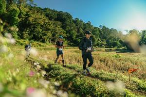 BIB: 
                            <button type="button" onclick="openModal(26636284)" class="btn btn-primary btn-sm float-right btn-popup" data-toggle="modal" data-target=".modal-high-quality">
                        <i class="fas fa-shopping-cart"></i> Add to Cart
                    </button>
                                            <button type="button" onclick="isThisMe(26636284, true)" class="btn btn-success btn-sm float-right btn-popup btn-isme hidden" data-toggle="tooltip" data-placement="bottom" title="นี่คือรูปของคุณใช่ไหม คลิกที่นี่เพื่อเอาเข้าอัลบั้ม">
                        <i class="fas fa-plus"></i> Add to album
                    </button>
                    <button type="button" onclick="isThisMe(26636284, false)" class="btn btn-warning btn-sm float-right btn-popup btn-isnotme hidden">
                        <i class="fas fa-ban"></i> Remove from album
                    </button>