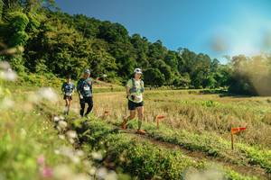 BIB: 
                            <button type="button" onclick="openModal(26690659)" class="btn btn-primary btn-sm float-right btn-popup" data-toggle="modal" data-target=".modal-high-quality">
                        <i class="fas fa-shopping-cart"></i> Add to Cart
                    </button>
                                            <button type="button" onclick="isThisMe(26690659, true)" class="btn btn-success btn-sm float-right btn-popup btn-isme hidden" data-toggle="tooltip" data-placement="bottom" title="นี่คือรูปของคุณใช่ไหม คลิกที่นี่เพื่อเอาเข้าอัลบั้ม">
                        <i class="fas fa-plus"></i> Add to album
                    </button>
                    <button type="button" onclick="isThisMe(26690659, false)" class="btn btn-warning btn-sm float-right btn-popup btn-isnotme hidden">
                        <i class="fas fa-ban"></i> Remove from album
                    </button>