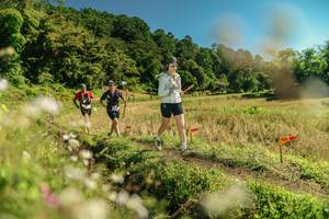 BIB: 
                            <button type="button" onclick="openModal(26698640)" class="btn btn-primary btn-sm float-right btn-popup" data-toggle="modal" data-target=".modal-high-quality">
                        <i class="fas fa-shopping-cart"></i> Add to Cart
                    </button>
                                            <button type="button" onclick="isThisMe(26698640, true)" class="btn btn-success btn-sm float-right btn-popup btn-isme hidden" data-toggle="tooltip" data-placement="bottom" title="นี่คือรูปของคุณใช่ไหม คลิกที่นี่เพื่อเอาเข้าอัลบั้ม">
                        <i class="fas fa-plus"></i> Add to album
                    </button>
                    <button type="button" onclick="isThisMe(26698640, false)" class="btn btn-warning btn-sm float-right btn-popup btn-isnotme hidden">
                        <i class="fas fa-ban"></i> Remove from album
                    </button>