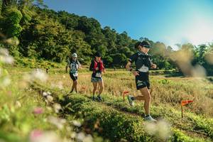 BIB: 
                            <button type="button" onclick="openModal(26636746)" class="btn btn-primary btn-sm float-right btn-popup" data-toggle="modal" data-target=".modal-high-quality">
                        <i class="fas fa-shopping-cart"></i> Add to Cart
                    </button>
                                            <button type="button" onclick="isThisMe(26636746, true)" class="btn btn-success btn-sm float-right btn-popup btn-isme hidden" data-toggle="tooltip" data-placement="bottom" title="นี่คือรูปของคุณใช่ไหม คลิกที่นี่เพื่อเอาเข้าอัลบั้ม">
                        <i class="fas fa-plus"></i> Add to album
                    </button>
                    <button type="button" onclick="isThisMe(26636746, false)" class="btn btn-warning btn-sm float-right btn-popup btn-isnotme hidden">
                        <i class="fas fa-ban"></i> Remove from album
                    </button>