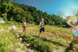 BIB: 
                            <button type="button" onclick="openModal(26684040)" class="btn btn-primary btn-sm float-right btn-popup" data-toggle="modal" data-target=".modal-high-quality">
                        <i class="fas fa-shopping-cart"></i> Add to Cart
                    </button>
                                            <button type="button" onclick="isThisMe(26684040, true)" class="btn btn-success btn-sm float-right btn-popup btn-isme hidden" data-toggle="tooltip" data-placement="bottom" title="นี่คือรูปของคุณใช่ไหม คลิกที่นี่เพื่อเอาเข้าอัลบั้ม">
                        <i class="fas fa-plus"></i> Add to album
                    </button>
                    <button type="button" onclick="isThisMe(26684040, false)" class="btn btn-warning btn-sm float-right btn-popup btn-isnotme hidden">
                        <i class="fas fa-ban"></i> Remove from album
                    </button>