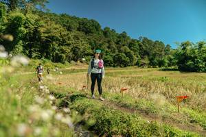 BIB: 
                            <button type="button" onclick="openModal(26735394)" class="btn btn-primary btn-sm float-right btn-popup" data-toggle="modal" data-target=".modal-high-quality">
                        <i class="fas fa-shopping-cart"></i> Add to Cart
                    </button>
                                            <button type="button" onclick="isThisMe(26735394, true)" class="btn btn-success btn-sm float-right btn-popup btn-isme hidden" data-toggle="tooltip" data-placement="bottom" title="นี่คือรูปของคุณใช่ไหม คลิกที่นี่เพื่อเอาเข้าอัลบั้ม">
                        <i class="fas fa-plus"></i> Add to album
                    </button>
                    <button type="button" onclick="isThisMe(26735394, false)" class="btn btn-warning btn-sm float-right btn-popup btn-isnotme hidden">
                        <i class="fas fa-ban"></i> Remove from album
                    </button>