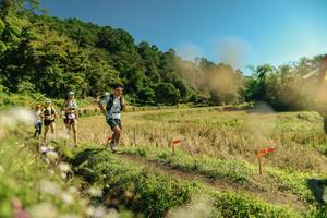 BIB: 
                            <button type="button" onclick="openModal(26700822)" class="btn btn-primary btn-sm float-right btn-popup" data-toggle="modal" data-target=".modal-high-quality">
                        <i class="fas fa-shopping-cart"></i> Add to Cart
                    </button>
                                            <button type="button" onclick="isThisMe(26700822, true)" class="btn btn-success btn-sm float-right btn-popup btn-isme hidden" data-toggle="tooltip" data-placement="bottom" title="นี่คือรูปของคุณใช่ไหม คลิกที่นี่เพื่อเอาเข้าอัลบั้ม">
                        <i class="fas fa-plus"></i> Add to album
                    </button>
                    <button type="button" onclick="isThisMe(26700822, false)" class="btn btn-warning btn-sm float-right btn-popup btn-isnotme hidden">
                        <i class="fas fa-ban"></i> Remove from album
                    </button>