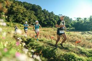 BIB: 
                            <button type="button" onclick="openModal(26633177)" class="btn btn-primary btn-sm float-right btn-popup" data-toggle="modal" data-target=".modal-high-quality">
                        <i class="fas fa-shopping-cart"></i> Add to Cart
                    </button>
                                            <button type="button" onclick="isThisMe(26633177, true)" class="btn btn-success btn-sm float-right btn-popup btn-isme hidden" data-toggle="tooltip" data-placement="bottom" title="นี่คือรูปของคุณใช่ไหม คลิกที่นี่เพื่อเอาเข้าอัลบั้ม">
                        <i class="fas fa-plus"></i> Add to album
                    </button>
                    <button type="button" onclick="isThisMe(26633177, false)" class="btn btn-warning btn-sm float-right btn-popup btn-isnotme hidden">
                        <i class="fas fa-ban"></i> Remove from album
                    </button>