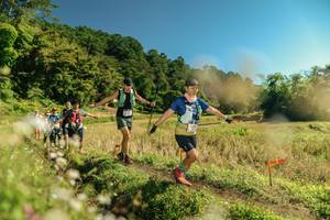 BIB: 
                            <button type="button" onclick="openModal(26700595)" class="btn btn-primary btn-sm float-right btn-popup" data-toggle="modal" data-target=".modal-high-quality">
                        <i class="fas fa-shopping-cart"></i> Add to Cart
                    </button>
                                            <button type="button" onclick="isThisMe(26700595, true)" class="btn btn-success btn-sm float-right btn-popup btn-isme hidden" data-toggle="tooltip" data-placement="bottom" title="นี่คือรูปของคุณใช่ไหม คลิกที่นี่เพื่อเอาเข้าอัลบั้ม">
                        <i class="fas fa-plus"></i> Add to album
                    </button>
                    <button type="button" onclick="isThisMe(26700595, false)" class="btn btn-warning btn-sm float-right btn-popup btn-isnotme hidden">
                        <i class="fas fa-ban"></i> Remove from album
                    </button>