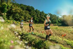 BIB: 
                            <button type="button" onclick="openModal(26671226)" class="btn btn-primary btn-sm float-right btn-popup" data-toggle="modal" data-target=".modal-high-quality">
                        <i class="fas fa-shopping-cart"></i> Add to Cart
                    </button>
                                            <button type="button" onclick="isThisMe(26671226, true)" class="btn btn-success btn-sm float-right btn-popup btn-isme hidden" data-toggle="tooltip" data-placement="bottom" title="นี่คือรูปของคุณใช่ไหม คลิกที่นี่เพื่อเอาเข้าอัลบั้ม">
                        <i class="fas fa-plus"></i> Add to album
                    </button>
                    <button type="button" onclick="isThisMe(26671226, false)" class="btn btn-warning btn-sm float-right btn-popup btn-isnotme hidden">
                        <i class="fas fa-ban"></i> Remove from album
                    </button>