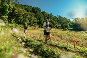 BIB: 
                            <button type="button" onclick="openModal(26638503)" class="btn btn-primary btn-sm float-right btn-popup" data-toggle="modal" data-target=".modal-high-quality">
                        <i class="fas fa-shopping-cart"></i> Add to Cart
                    </button>
                                            <button type="button" onclick="isThisMe(26638503, true)" class="btn btn-success btn-sm float-right btn-popup btn-isme hidden" data-toggle="tooltip" data-placement="bottom" title="นี่คือรูปของคุณใช่ไหม คลิกที่นี่เพื่อเอาเข้าอัลบั้ม">
                        <i class="fas fa-plus"></i> Add to album
                    </button>
                    <button type="button" onclick="isThisMe(26638503, false)" class="btn btn-warning btn-sm float-right btn-popup btn-isnotme hidden">
                        <i class="fas fa-ban"></i> Remove from album
                    </button>