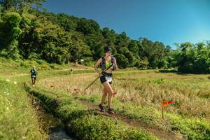 BIB: 
                            <button type="button" onclick="openModal(26715375)" class="btn btn-primary btn-sm float-right btn-popup" data-toggle="modal" data-target=".modal-high-quality">
                        <i class="fas fa-shopping-cart"></i> Add to Cart
                    </button>
                                            <button type="button" onclick="isThisMe(26715375, true)" class="btn btn-success btn-sm float-right btn-popup btn-isme hidden" data-toggle="tooltip" data-placement="bottom" title="นี่คือรูปของคุณใช่ไหม คลิกที่นี่เพื่อเอาเข้าอัลบั้ม">
                        <i class="fas fa-plus"></i> Add to album
                    </button>
                    <button type="button" onclick="isThisMe(26715375, false)" class="btn btn-warning btn-sm float-right btn-popup btn-isnotme hidden">
                        <i class="fas fa-ban"></i> Remove from album
                    </button>