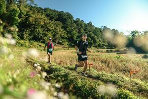 BIB: 
                            <button type="button" onclick="openModal(26635377)" class="btn btn-primary btn-sm float-right btn-popup" data-toggle="modal" data-target=".modal-high-quality">
                        <i class="fas fa-shopping-cart"></i> Add to Cart
                    </button>
                                            <button type="button" onclick="isThisMe(26635377, true)" class="btn btn-success btn-sm float-right btn-popup btn-isme hidden" data-toggle="tooltip" data-placement="bottom" title="นี่คือรูปของคุณใช่ไหม คลิกที่นี่เพื่อเอาเข้าอัลบั้ม">
                        <i class="fas fa-plus"></i> Add to album
                    </button>
                    <button type="button" onclick="isThisMe(26635377, false)" class="btn btn-warning btn-sm float-right btn-popup btn-isnotme hidden">
                        <i class="fas fa-ban"></i> Remove from album
                    </button>