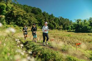 BIB: 
                            <button type="button" onclick="openModal(26712503)" class="btn btn-primary btn-sm float-right btn-popup" data-toggle="modal" data-target=".modal-high-quality">
                        <i class="fas fa-shopping-cart"></i> Add to Cart
                    </button>
                                            <button type="button" onclick="isThisMe(26712503, true)" class="btn btn-success btn-sm float-right btn-popup btn-isme hidden" data-toggle="tooltip" data-placement="bottom" title="นี่คือรูปของคุณใช่ไหม คลิกที่นี่เพื่อเอาเข้าอัลบั้ม">
                        <i class="fas fa-plus"></i> Add to album
                    </button>
                    <button type="button" onclick="isThisMe(26712503, false)" class="btn btn-warning btn-sm float-right btn-popup btn-isnotme hidden">
                        <i class="fas fa-ban"></i> Remove from album
                    </button>