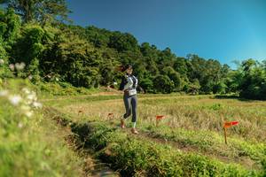 BIB: 
                            <button type="button" onclick="openModal(26719353)" class="btn btn-primary btn-sm float-right btn-popup" data-toggle="modal" data-target=".modal-high-quality">
                        <i class="fas fa-shopping-cart"></i> Add to Cart
                    </button>
                                            <button type="button" onclick="isThisMe(26719353, true)" class="btn btn-success btn-sm float-right btn-popup btn-isme hidden" data-toggle="tooltip" data-placement="bottom" title="นี่คือรูปของคุณใช่ไหม คลิกที่นี่เพื่อเอาเข้าอัลบั้ม">
                        <i class="fas fa-plus"></i> Add to album
                    </button>
                    <button type="button" onclick="isThisMe(26719353, false)" class="btn btn-warning btn-sm float-right btn-popup btn-isnotme hidden">
                        <i class="fas fa-ban"></i> Remove from album
                    </button>