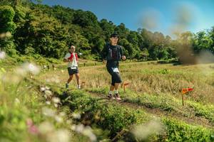 BIB: 
                            <button type="button" onclick="openModal(26698403)" class="btn btn-primary btn-sm float-right btn-popup" data-toggle="modal" data-target=".modal-high-quality">
                        <i class="fas fa-shopping-cart"></i> Add to Cart
                    </button>
                                            <button type="button" onclick="isThisMe(26698403, true)" class="btn btn-success btn-sm float-right btn-popup btn-isme hidden" data-toggle="tooltip" data-placement="bottom" title="นี่คือรูปของคุณใช่ไหม คลิกที่นี่เพื่อเอาเข้าอัลบั้ม">
                        <i class="fas fa-plus"></i> Add to album
                    </button>
                    <button type="button" onclick="isThisMe(26698403, false)" class="btn btn-warning btn-sm float-right btn-popup btn-isnotme hidden">
                        <i class="fas fa-ban"></i> Remove from album
                    </button>