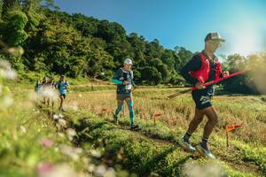 BIB: 
                            <button type="button" onclick="openModal(26637746)" class="btn btn-primary btn-sm float-right btn-popup" data-toggle="modal" data-target=".modal-high-quality">
                        <i class="fas fa-shopping-cart"></i> Add to Cart
                    </button>
                                            <button type="button" onclick="isThisMe(26637746, true)" class="btn btn-success btn-sm float-right btn-popup btn-isme hidden" data-toggle="tooltip" data-placement="bottom" title="นี่คือรูปของคุณใช่ไหม คลิกที่นี่เพื่อเอาเข้าอัลบั้ม">
                        <i class="fas fa-plus"></i> Add to album
                    </button>
                    <button type="button" onclick="isThisMe(26637746, false)" class="btn btn-warning btn-sm float-right btn-popup btn-isnotme hidden">
                        <i class="fas fa-ban"></i> Remove from album
                    </button>