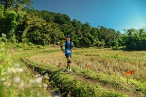 BIB: 
                            <button type="button" onclick="openModal(26702229)" class="btn btn-primary btn-sm float-right btn-popup" data-toggle="modal" data-target=".modal-high-quality">
                        <i class="fas fa-shopping-cart"></i> Add to Cart
                    </button>
                                            <button type="button" onclick="isThisMe(26702229, true)" class="btn btn-success btn-sm float-right btn-popup btn-isme hidden" data-toggle="tooltip" data-placement="bottom" title="นี่คือรูปของคุณใช่ไหม คลิกที่นี่เพื่อเอาเข้าอัลบั้ม">
                        <i class="fas fa-plus"></i> Add to album
                    </button>
                    <button type="button" onclick="isThisMe(26702229, false)" class="btn btn-warning btn-sm float-right btn-popup btn-isnotme hidden">
                        <i class="fas fa-ban"></i> Remove from album
                    </button>