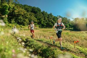 BIB: 
                            <button type="button" onclick="openModal(26684157)" class="btn btn-primary btn-sm float-right btn-popup" data-toggle="modal" data-target=".modal-high-quality">
                        <i class="fas fa-shopping-cart"></i> Add to Cart
                    </button>
                                            <button type="button" onclick="isThisMe(26684157, true)" class="btn btn-success btn-sm float-right btn-popup btn-isme hidden" data-toggle="tooltip" data-placement="bottom" title="นี่คือรูปของคุณใช่ไหม คลิกที่นี่เพื่อเอาเข้าอัลบั้ม">
                        <i class="fas fa-plus"></i> Add to album
                    </button>
                    <button type="button" onclick="isThisMe(26684157, false)" class="btn btn-warning btn-sm float-right btn-popup btn-isnotme hidden">
                        <i class="fas fa-ban"></i> Remove from album
                    </button>