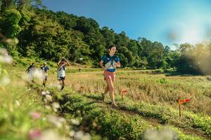 BIB: 
                            <button type="button" onclick="openModal(26638034)" class="btn btn-primary btn-sm float-right btn-popup" data-toggle="modal" data-target=".modal-high-quality">
                        <i class="fas fa-shopping-cart"></i> Add to Cart
                    </button>
                                            <button type="button" onclick="isThisMe(26638034, true)" class="btn btn-success btn-sm float-right btn-popup btn-isme hidden" data-toggle="tooltip" data-placement="bottom" title="นี่คือรูปของคุณใช่ไหม คลิกที่นี่เพื่อเอาเข้าอัลบั้ม">
                        <i class="fas fa-plus"></i> Add to album
                    </button>
                    <button type="button" onclick="isThisMe(26638034, false)" class="btn btn-warning btn-sm float-right btn-popup btn-isnotme hidden">
                        <i class="fas fa-ban"></i> Remove from album
                    </button>