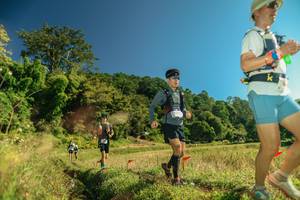 BIB: 
                            <button type="button" onclick="openModal(26694135)" class="btn btn-primary btn-sm float-right btn-popup" data-toggle="modal" data-target=".modal-high-quality">
                        <i class="fas fa-shopping-cart"></i> Add to Cart
                    </button>
                                            <button type="button" onclick="isThisMe(26694135, true)" class="btn btn-success btn-sm float-right btn-popup btn-isme hidden" data-toggle="tooltip" data-placement="bottom" title="นี่คือรูปของคุณใช่ไหม คลิกที่นี่เพื่อเอาเข้าอัลบั้ม">
                        <i class="fas fa-plus"></i> Add to album
                    </button>
                    <button type="button" onclick="isThisMe(26694135, false)" class="btn btn-warning btn-sm float-right btn-popup btn-isnotme hidden">
                        <i class="fas fa-ban"></i> Remove from album
                    </button>