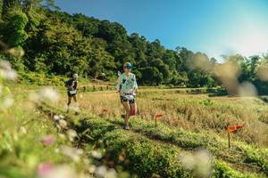 BIB: 
                            <button type="button" onclick="openModal(26636980)" class="btn btn-primary btn-sm float-right btn-popup" data-toggle="modal" data-target=".modal-high-quality">
                        <i class="fas fa-shopping-cart"></i> Add to Cart
                    </button>
                                            <button type="button" onclick="isThisMe(26636980, true)" class="btn btn-success btn-sm float-right btn-popup btn-isme hidden" data-toggle="tooltip" data-placement="bottom" title="นี่คือรูปของคุณใช่ไหม คลิกที่นี่เพื่อเอาเข้าอัลบั้ม">
                        <i class="fas fa-plus"></i> Add to album
                    </button>
                    <button type="button" onclick="isThisMe(26636980, false)" class="btn btn-warning btn-sm float-right btn-popup btn-isnotme hidden">
                        <i class="fas fa-ban"></i> Remove from album
                    </button>