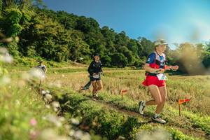 BIB: 
                            <button type="button" onclick="openModal(26681919)" class="btn btn-primary btn-sm float-right btn-popup" data-toggle="modal" data-target=".modal-high-quality">
                        <i class="fas fa-shopping-cart"></i> Add to Cart
                    </button>
                                            <button type="button" onclick="isThisMe(26681919, true)" class="btn btn-success btn-sm float-right btn-popup btn-isme hidden" data-toggle="tooltip" data-placement="bottom" title="นี่คือรูปของคุณใช่ไหม คลิกที่นี่เพื่อเอาเข้าอัลบั้ม">
                        <i class="fas fa-plus"></i> Add to album
                    </button>
                    <button type="button" onclick="isThisMe(26681919, false)" class="btn btn-warning btn-sm float-right btn-popup btn-isnotme hidden">
                        <i class="fas fa-ban"></i> Remove from album
                    </button>