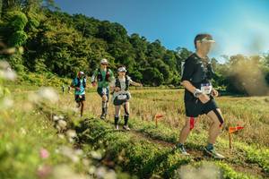 BIB: 
                            <button type="button" onclick="openModal(26675021)" class="btn btn-primary btn-sm float-right btn-popup" data-toggle="modal" data-target=".modal-high-quality">
                        <i class="fas fa-shopping-cart"></i> Add to Cart
                    </button>
                                            <button type="button" onclick="isThisMe(26675021, true)" class="btn btn-success btn-sm float-right btn-popup btn-isme hidden" data-toggle="tooltip" data-placement="bottom" title="นี่คือรูปของคุณใช่ไหม คลิกที่นี่เพื่อเอาเข้าอัลบั้ม">
                        <i class="fas fa-plus"></i> Add to album
                    </button>
                    <button type="button" onclick="isThisMe(26675021, false)" class="btn btn-warning btn-sm float-right btn-popup btn-isnotme hidden">
                        <i class="fas fa-ban"></i> Remove from album
                    </button>