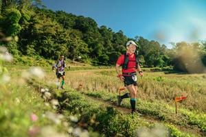 BIB: 
                            <button type="button" onclick="openModal(26674205)" class="btn btn-primary btn-sm float-right btn-popup" data-toggle="modal" data-target=".modal-high-quality">
                        <i class="fas fa-shopping-cart"></i> Add to Cart
                    </button>
                                            <button type="button" onclick="isThisMe(26674205, true)" class="btn btn-success btn-sm float-right btn-popup btn-isme hidden" data-toggle="tooltip" data-placement="bottom" title="นี่คือรูปของคุณใช่ไหม คลิกที่นี่เพื่อเอาเข้าอัลบั้ม">
                        <i class="fas fa-plus"></i> Add to album
                    </button>
                    <button type="button" onclick="isThisMe(26674205, false)" class="btn btn-warning btn-sm float-right btn-popup btn-isnotme hidden">
                        <i class="fas fa-ban"></i> Remove from album
                    </button>