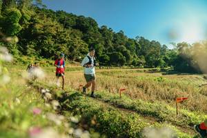 BIB: 
                            <button type="button" onclick="openModal(26637687)" class="btn btn-primary btn-sm float-right btn-popup" data-toggle="modal" data-target=".modal-high-quality">
                        <i class="fas fa-shopping-cart"></i> Add to Cart
                    </button>
                                            <button type="button" onclick="isThisMe(26637687, true)" class="btn btn-success btn-sm float-right btn-popup btn-isme hidden" data-toggle="tooltip" data-placement="bottom" title="นี่คือรูปของคุณใช่ไหม คลิกที่นี่เพื่อเอาเข้าอัลบั้ม">
                        <i class="fas fa-plus"></i> Add to album
                    </button>
                    <button type="button" onclick="isThisMe(26637687, false)" class="btn btn-warning btn-sm float-right btn-popup btn-isnotme hidden">
                        <i class="fas fa-ban"></i> Remove from album
                    </button>