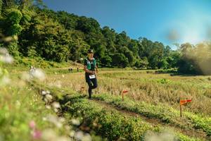 BIB: 
                            <button type="button" onclick="openModal(26686106)" class="btn btn-primary btn-sm float-right btn-popup" data-toggle="modal" data-target=".modal-high-quality">
                        <i class="fas fa-shopping-cart"></i> Add to Cart
                    </button>
                                            <button type="button" onclick="isThisMe(26686106, true)" class="btn btn-success btn-sm float-right btn-popup btn-isme hidden" data-toggle="tooltip" data-placement="bottom" title="นี่คือรูปของคุณใช่ไหม คลิกที่นี่เพื่อเอาเข้าอัลบั้ม">
                        <i class="fas fa-plus"></i> Add to album
                    </button>
                    <button type="button" onclick="isThisMe(26686106, false)" class="btn btn-warning btn-sm float-right btn-popup btn-isnotme hidden">
                        <i class="fas fa-ban"></i> Remove from album
                    </button>