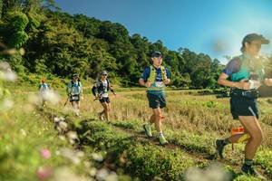 BIB: 
                            <button type="button" onclick="openModal(26646211)" class="btn btn-primary btn-sm float-right btn-popup" data-toggle="modal" data-target=".modal-high-quality">
                        <i class="fas fa-shopping-cart"></i> Add to Cart
                    </button>
                                            <button type="button" onclick="isThisMe(26646211, true)" class="btn btn-success btn-sm float-right btn-popup btn-isme hidden" data-toggle="tooltip" data-placement="bottom" title="นี่คือรูปของคุณใช่ไหม คลิกที่นี่เพื่อเอาเข้าอัลบั้ม">
                        <i class="fas fa-plus"></i> Add to album
                    </button>
                    <button type="button" onclick="isThisMe(26646211, false)" class="btn btn-warning btn-sm float-right btn-popup btn-isnotme hidden">
                        <i class="fas fa-ban"></i> Remove from album
                    </button>