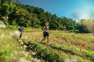 BIB: 
                            <button type="button" onclick="openModal(26647161)" class="btn btn-primary btn-sm float-right btn-popup" data-toggle="modal" data-target=".modal-high-quality">
                        <i class="fas fa-shopping-cart"></i> Add to Cart
                    </button>
                                            <button type="button" onclick="isThisMe(26647161, true)" class="btn btn-success btn-sm float-right btn-popup btn-isme hidden" data-toggle="tooltip" data-placement="bottom" title="นี่คือรูปของคุณใช่ไหม คลิกที่นี่เพื่อเอาเข้าอัลบั้ม">
                        <i class="fas fa-plus"></i> Add to album
                    </button>
                    <button type="button" onclick="isThisMe(26647161, false)" class="btn btn-warning btn-sm float-right btn-popup btn-isnotme hidden">
                        <i class="fas fa-ban"></i> Remove from album
                    </button>