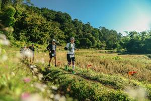 BIB: 
                            <button type="button" onclick="openModal(26637154)" class="btn btn-primary btn-sm float-right btn-popup" data-toggle="modal" data-target=".modal-high-quality">
                        <i class="fas fa-shopping-cart"></i> Add to Cart
                    </button>
                                            <button type="button" onclick="isThisMe(26637154, true)" class="btn btn-success btn-sm float-right btn-popup btn-isme hidden" data-toggle="tooltip" data-placement="bottom" title="นี่คือรูปของคุณใช่ไหม คลิกที่นี่เพื่อเอาเข้าอัลบั้ม">
                        <i class="fas fa-plus"></i> Add to album
                    </button>
                    <button type="button" onclick="isThisMe(26637154, false)" class="btn btn-warning btn-sm float-right btn-popup btn-isnotme hidden">
                        <i class="fas fa-ban"></i> Remove from album
                    </button>