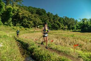 BIB: 
                            <button type="button" onclick="openModal(26715327)" class="btn btn-primary btn-sm float-right btn-popup" data-toggle="modal" data-target=".modal-high-quality">
                        <i class="fas fa-shopping-cart"></i> Add to Cart
                    </button>
                                            <button type="button" onclick="isThisMe(26715327, true)" class="btn btn-success btn-sm float-right btn-popup btn-isme hidden" data-toggle="tooltip" data-placement="bottom" title="นี่คือรูปของคุณใช่ไหม คลิกที่นี่เพื่อเอาเข้าอัลบั้ม">
                        <i class="fas fa-plus"></i> Add to album
                    </button>
                    <button type="button" onclick="isThisMe(26715327, false)" class="btn btn-warning btn-sm float-right btn-popup btn-isnotme hidden">
                        <i class="fas fa-ban"></i> Remove from album
                    </button>