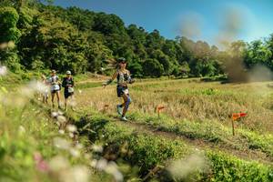 BIB: 
                            <button type="button" onclick="openModal(26697848)" class="btn btn-primary btn-sm float-right btn-popup" data-toggle="modal" data-target=".modal-high-quality">
                        <i class="fas fa-shopping-cart"></i> Add to Cart
                    </button>
                                            <button type="button" onclick="isThisMe(26697848, true)" class="btn btn-success btn-sm float-right btn-popup btn-isme hidden" data-toggle="tooltip" data-placement="bottom" title="นี่คือรูปของคุณใช่ไหม คลิกที่นี่เพื่อเอาเข้าอัลบั้ม">
                        <i class="fas fa-plus"></i> Add to album
                    </button>
                    <button type="button" onclick="isThisMe(26697848, false)" class="btn btn-warning btn-sm float-right btn-popup btn-isnotme hidden">
                        <i class="fas fa-ban"></i> Remove from album
                    </button>