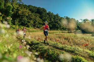 BIB: 
                            <button type="button" onclick="openModal(26636011)" class="btn btn-primary btn-sm float-right btn-popup" data-toggle="modal" data-target=".modal-high-quality">
                        <i class="fas fa-shopping-cart"></i> Add to Cart
                    </button>
                                            <button type="button" onclick="isThisMe(26636011, true)" class="btn btn-success btn-sm float-right btn-popup btn-isme hidden" data-toggle="tooltip" data-placement="bottom" title="นี่คือรูปของคุณใช่ไหม คลิกที่นี่เพื่อเอาเข้าอัลบั้ม">
                        <i class="fas fa-plus"></i> Add to album
                    </button>
                    <button type="button" onclick="isThisMe(26636011, false)" class="btn btn-warning btn-sm float-right btn-popup btn-isnotme hidden">
                        <i class="fas fa-ban"></i> Remove from album
                    </button>