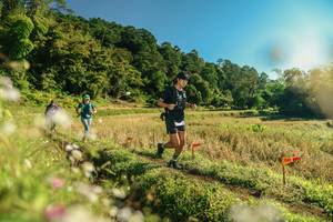 BIB: 
                            <button type="button" onclick="openModal(26638055)" class="btn btn-primary btn-sm float-right btn-popup" data-toggle="modal" data-target=".modal-high-quality">
                        <i class="fas fa-shopping-cart"></i> Add to Cart
                    </button>
                                            <button type="button" onclick="isThisMe(26638055, true)" class="btn btn-success btn-sm float-right btn-popup btn-isme hidden" data-toggle="tooltip" data-placement="bottom" title="นี่คือรูปของคุณใช่ไหม คลิกที่นี่เพื่อเอาเข้าอัลบั้ม">
                        <i class="fas fa-plus"></i> Add to album
                    </button>
                    <button type="button" onclick="isThisMe(26638055, false)" class="btn btn-warning btn-sm float-right btn-popup btn-isnotme hidden">
                        <i class="fas fa-ban"></i> Remove from album
                    </button>